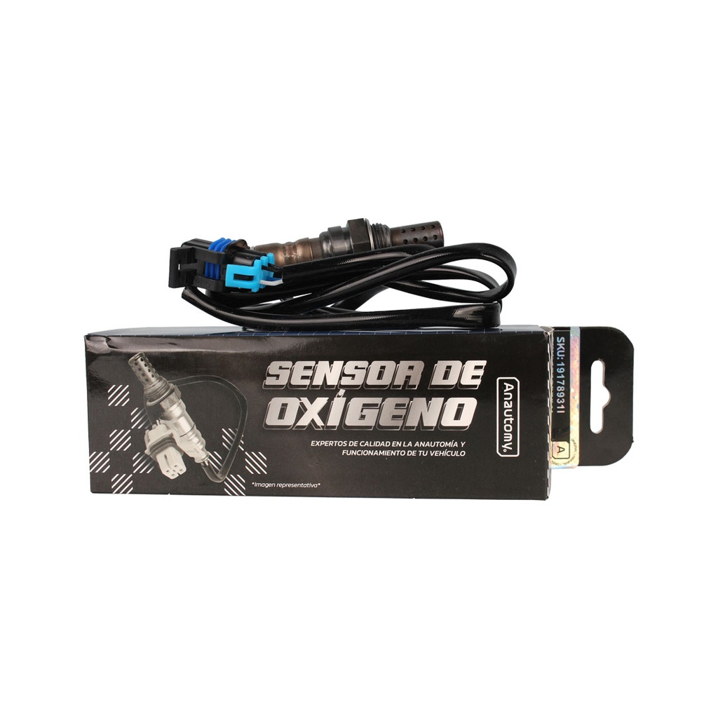 Imagen 9