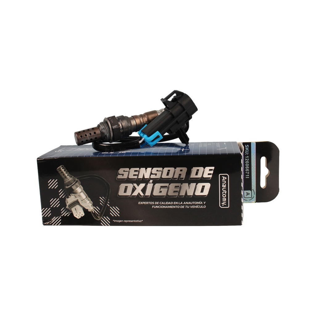 Imagen 9