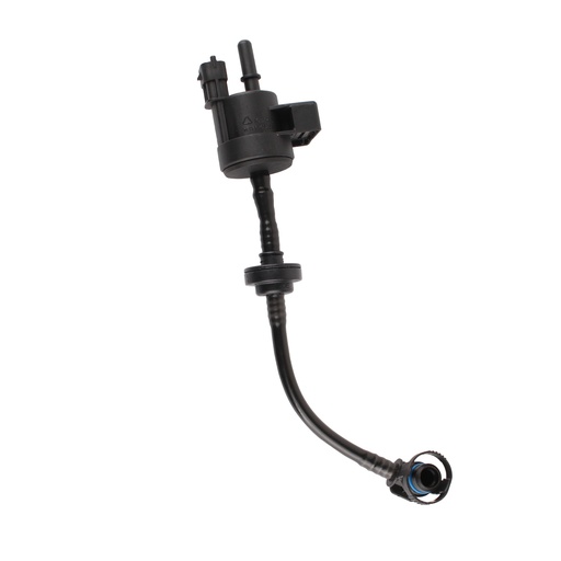 [55576071i] 55576071i