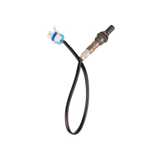 [12559849i] 12559849i