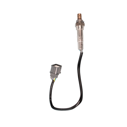 [36531PHMA02i] 36531PHMA02i