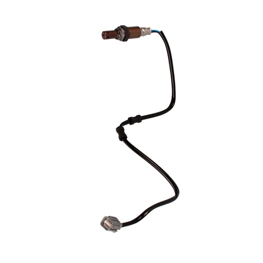 [25024391i] 25024391i