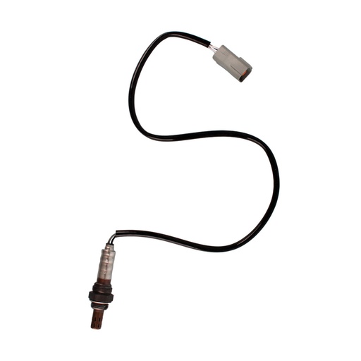 [25024769i] 25024769i