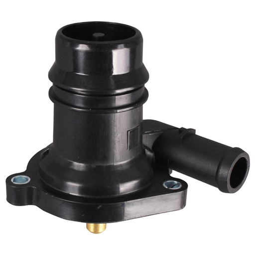 [55565336i] 55565336i