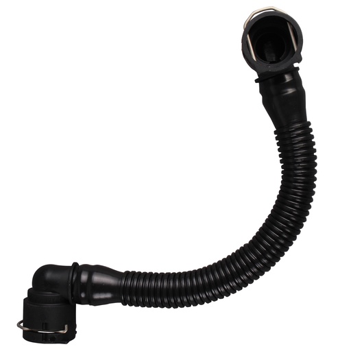 [55556495i] 55556495i